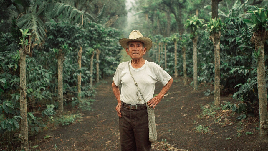 For Don Luis, Coffee Farming Is Life